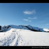 20080120_294
